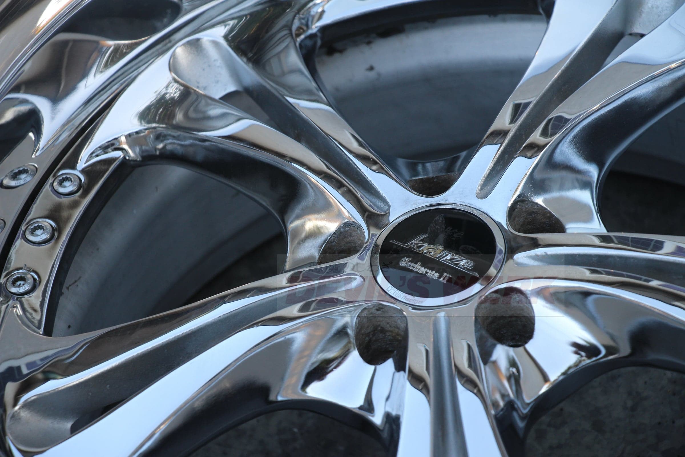 Weds Cerberus II photo 7